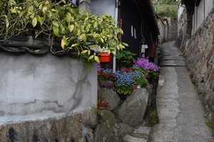 尾道の路地