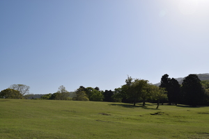 奈良公園・飛火野（とびひの）