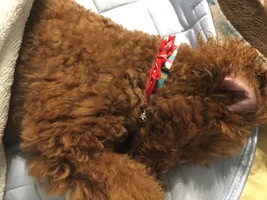 家に辿り着くまで
