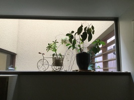 「9月1日に向けて」