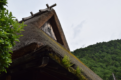 五月の京都〜美山かやぶきの里・嵐山　宝厳院の庭〜