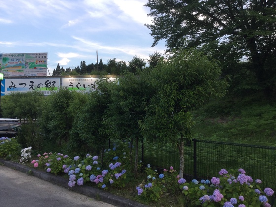 あくがれ出づる魂〜御杖村のほたる祭り〜