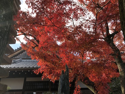 二度目の「かみさまとのやくそく」視聴