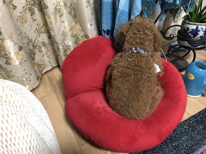 タンドールを作る