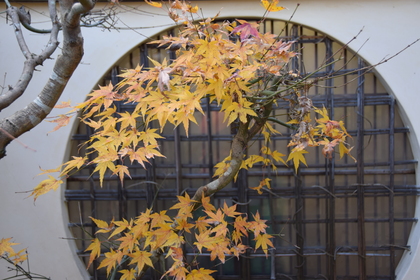初詣のたのしみは真夜中の自由〜長田弘の詩「初詣」（『深呼吸の必要』所収「大きな木」から）〜