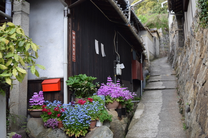 誰もいないのだが、花がそこにある〜長田弘の詩「路地」（『深呼吸の必要』所収「大きな木」から）〜