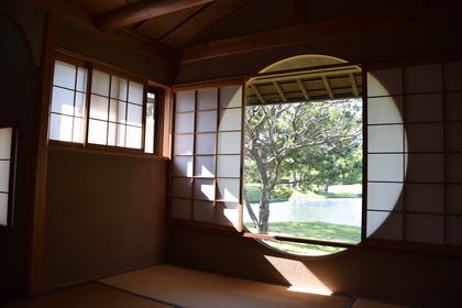 自分の触角を物指しにする〜折々のことば・鷲田清一＃2068〜