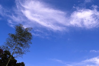 古い鉄棒は、世界の心棒〜長田弘の詩「鉄棒」（『深呼吸の必要』所収「大きな木」から）〜