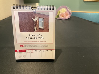 背伸びしなきゃ見えない景色〜「人生はニャンとかなる！」2024〜