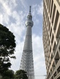 私のフェルデンクライス・レッスン（１）その２〜百武正嗣さんのフェルデンクライス〜