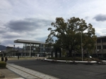 大学生も悪くない