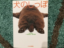 いろんな表情で癒やされます〜『犬のしっぽ』（文：山口樹々 撮影：福田豊文・植木裕幸）〜
